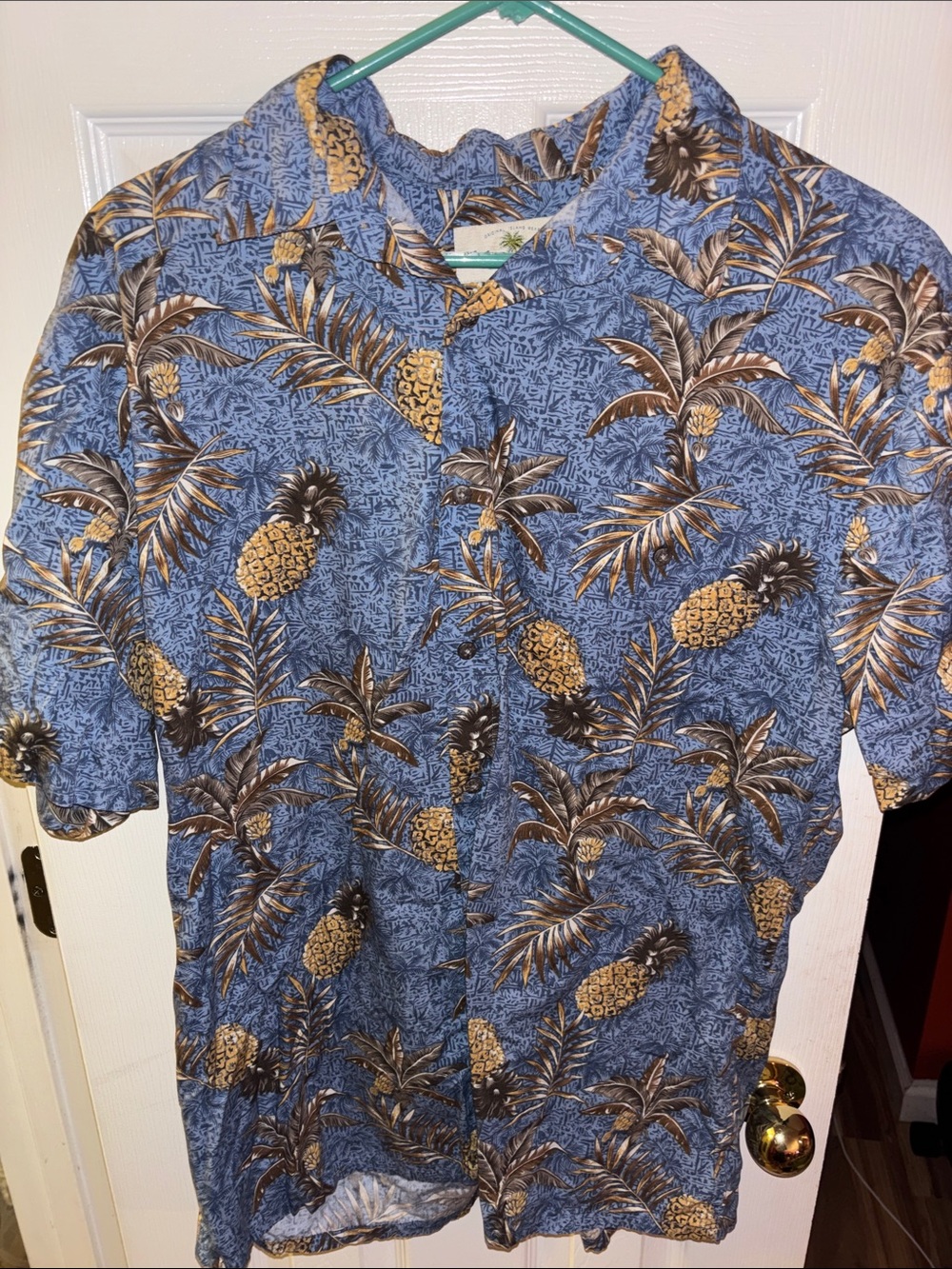 Men's Island Shores Blue Pineapple-Print Short-Sleeve Button-Down Shirt